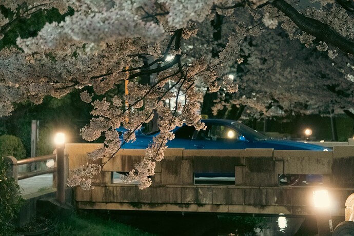DSC06005