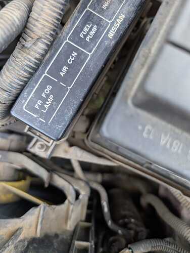 WhatsApp Image 2025-11-09 at 19.43.56