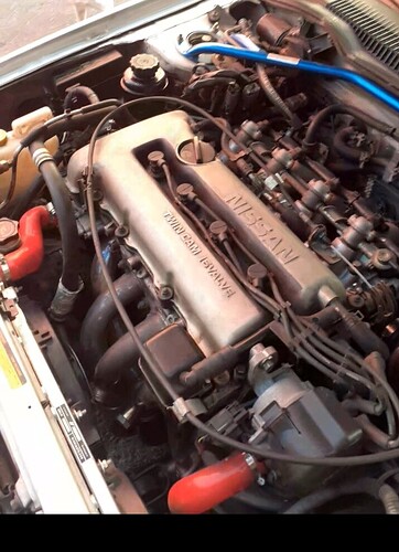 Screenshot_20231011-224103_Gallery