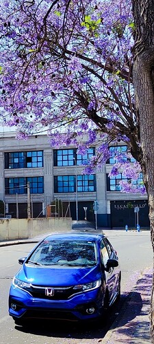 IMG_20240512_122349