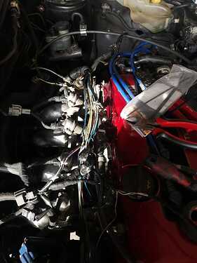 WhatsApp Image 2021-03-10 at 23.39.55