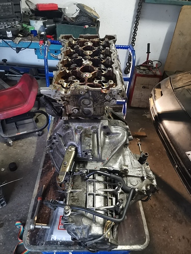 WhatsApp Image 2020-11-08 at 12.13.11 (4)