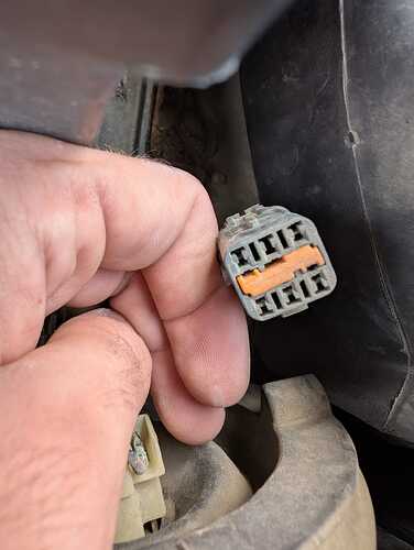 WhatsApp Image 2025-11-09 at 19.14.41