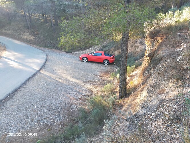 IMG20250206094952