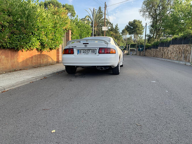 micoche6