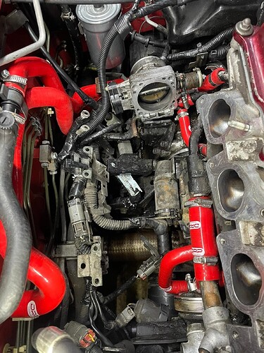 IMGG-20241210-WA0010