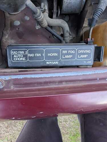 WhatsApp Image 2025-11-08 at 19.13.21