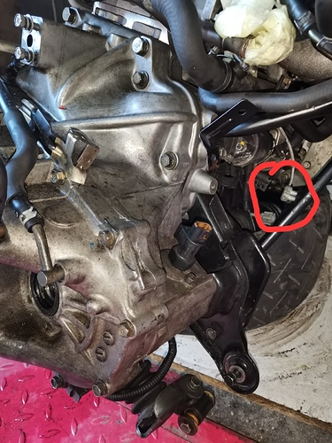 WhatsApp Image 2020-11-05 at 16.10.51