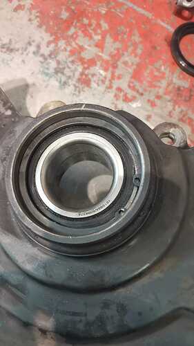 WhatsApp Image 2021-03-21 at 20.24.34